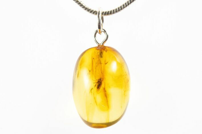 Polished Baltic Amber Pendant (Necklace) - Contains Fly! #312217